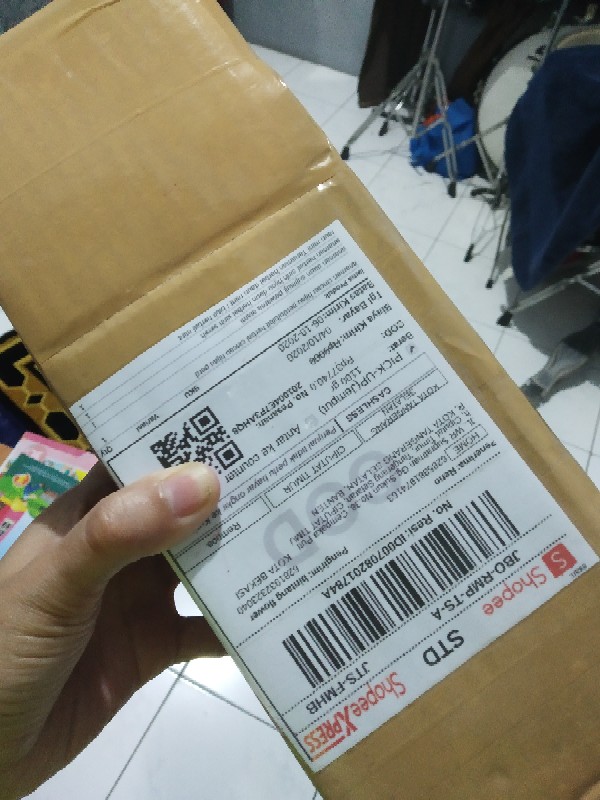 Tanaman Cincau Hijau Perdu/bibit Herbal Cincau Hijau Perdu