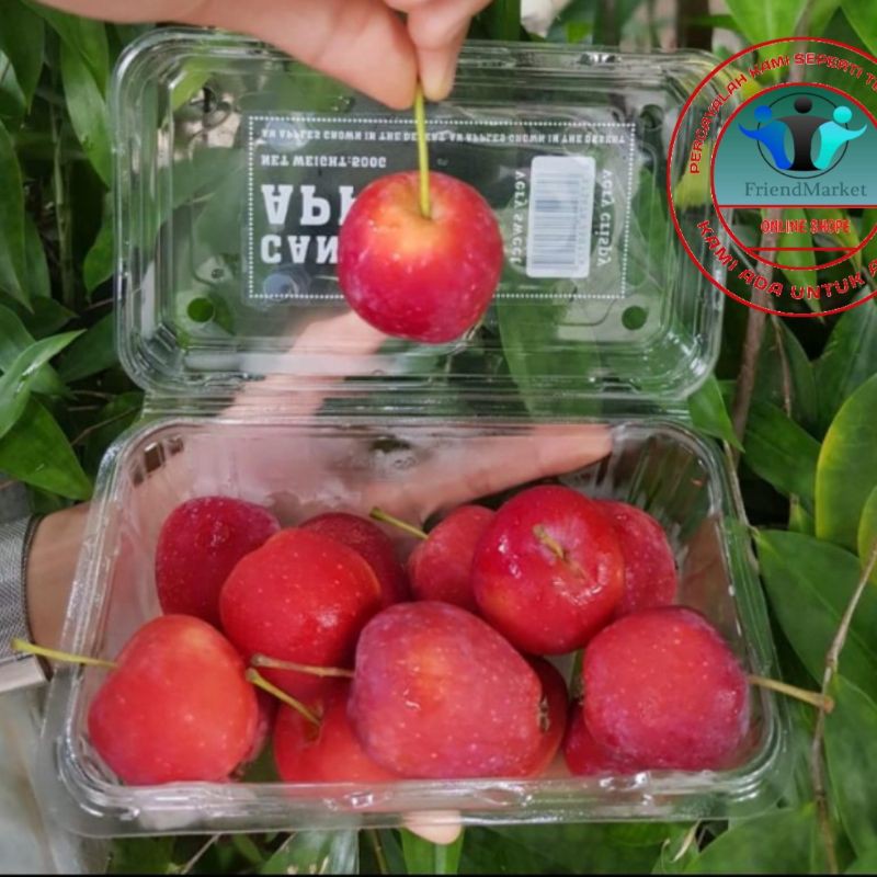 

CANDY APPLE Apel Import pck 500grm