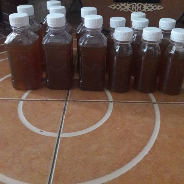 

MADU TRIGONA / TERAN ASLI 250ml