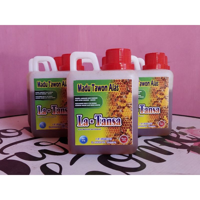 

MADU HUTAN ASLI 100% Bisa dites dengan berbagai macam alat / media