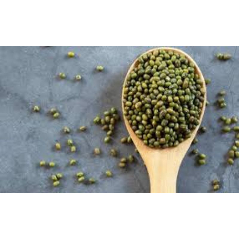 

Kacang Hijau Organik Kualitas Terbaik