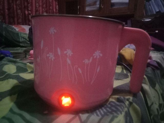 Panci Listrik / Teko Listrik Electric Steamer Pot Stainless Steel 16 Cm Warna