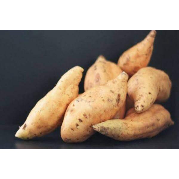 

Ubi cilembu mentah manis legittt 1kg
