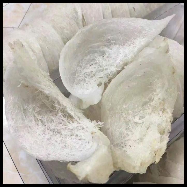 

DISKON TERBATAS !!! SARANG WALET MANGKOK EXPORT QUALITY 50GRAM TERLARIS