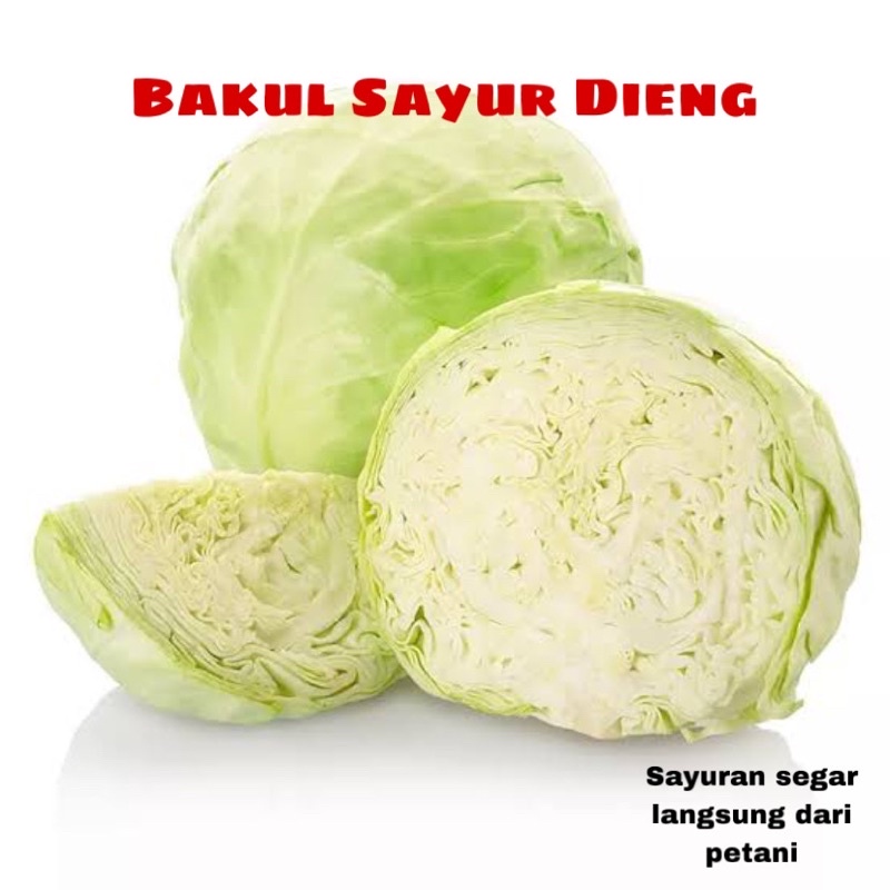 

KUBIS HARGA GROSIR SERIBUAN PER KILO