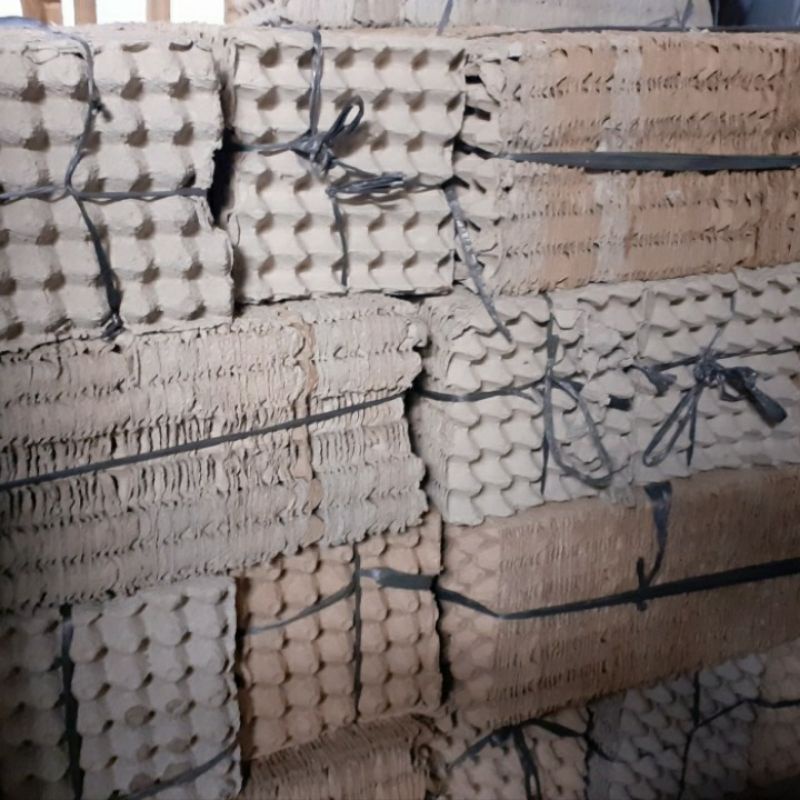 Tray Egg Tempat Telor Telur Bahan Kardus Kerdus Kertas untuk isi 30 telur