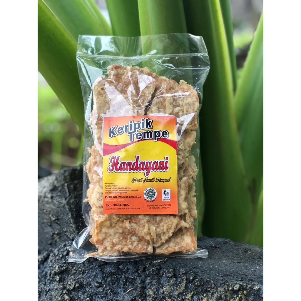 

Keripik Tempe HANDAYANI 250 gram
