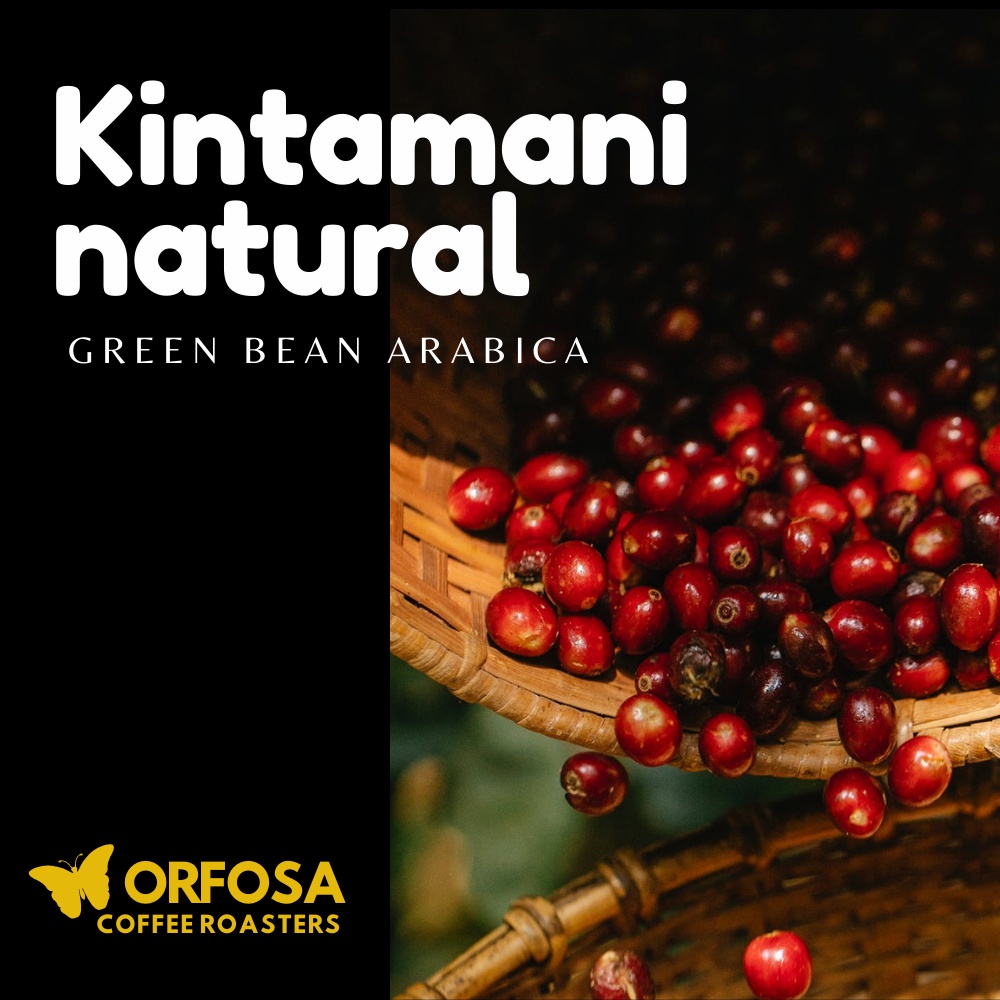 

GREEN BEAN KOPI ARABIKA BALI KINTAMANI NATURAL 1KG BIJI MENTAH KOPI BALI KINTAMANI