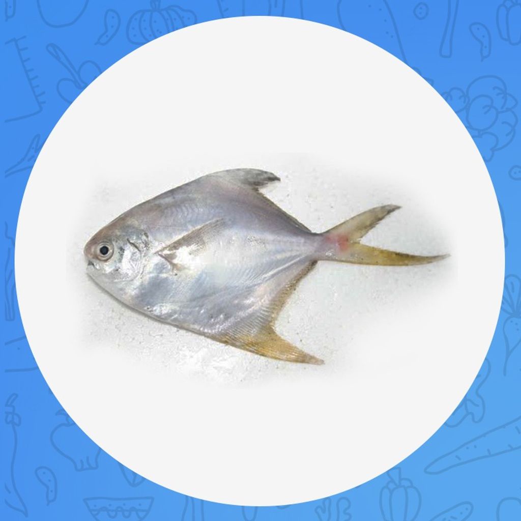 

DORANG 500gr