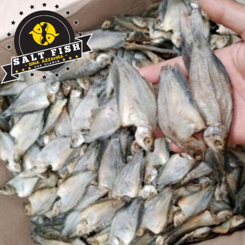 

Ikan Asin Sepat Kecil / Bakrik Enak Murah (500 Gram)