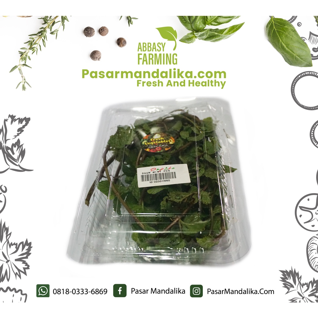 

Daun Mint / Mint Leaf Pasar Mandalika