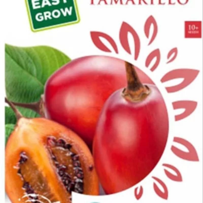 

TERONG BELANDA (TAMARILLO)