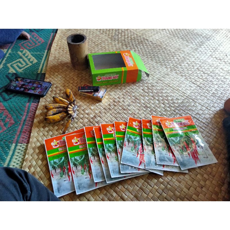 bibit Cabai merah besar Darmais F1