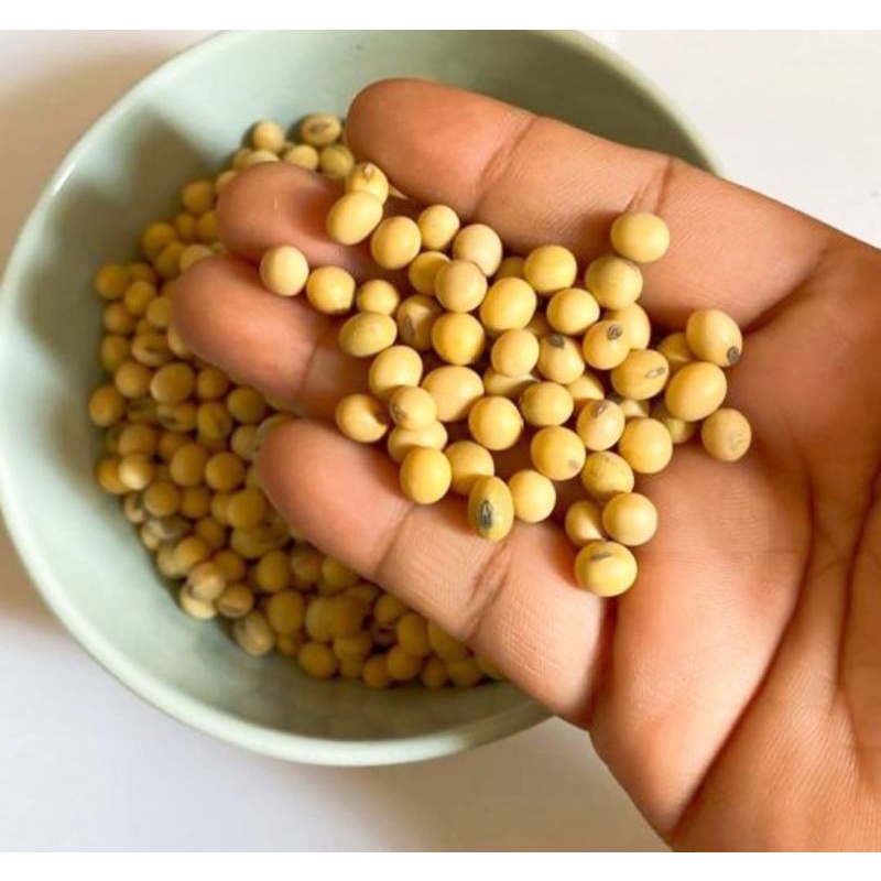 

Kacang Kedelai Berat 500 Grm
