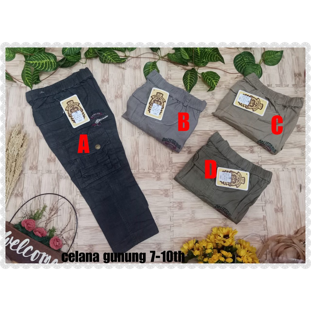 celana gunung panjang anak laki laki import celana levis anak laki