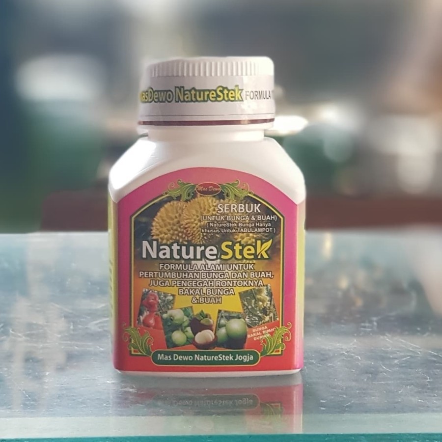 NATURE STEK BUNGA DAN BUAH