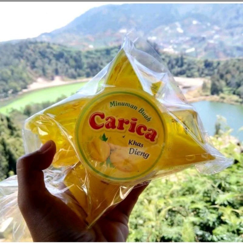 

Manisan Carika Khas Dieng isi 6 cup 100% Gula Asli&Tanpa Pengawet