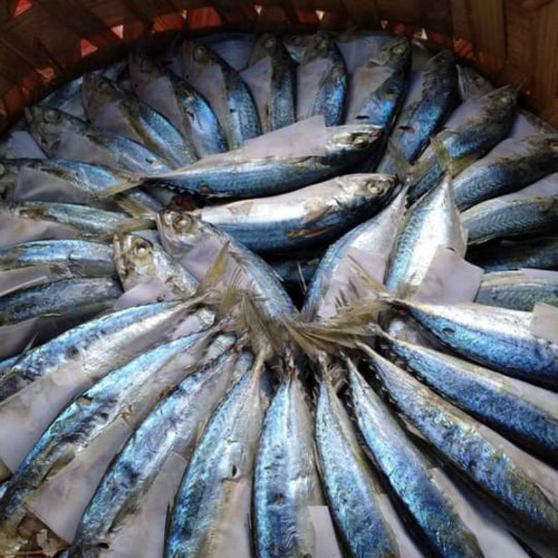 

Kembung Rebus Medan || 250gr