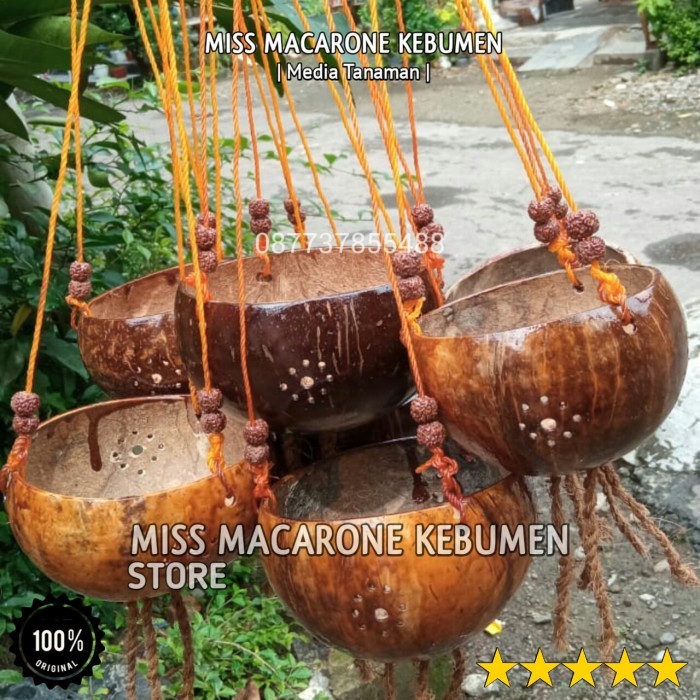 pot bunga batok kelapa ukir gantung