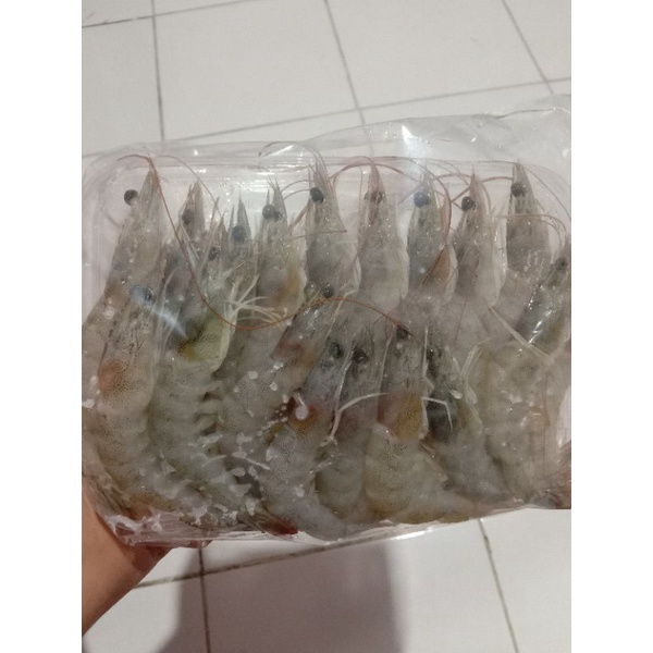 

udangvaname
