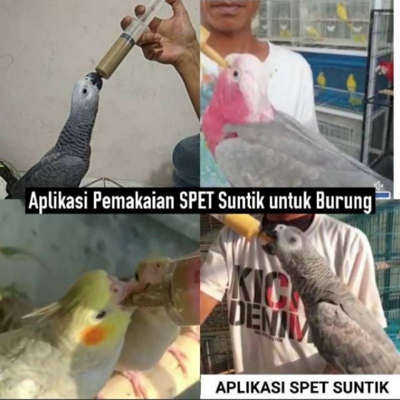 Spet loloh suntikan burung parrot afgrey macaw kakatua 60 ml cc besar spetan lolohan pemberi makan kucing