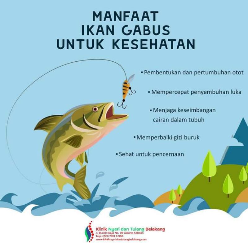 

abon ikan gabus