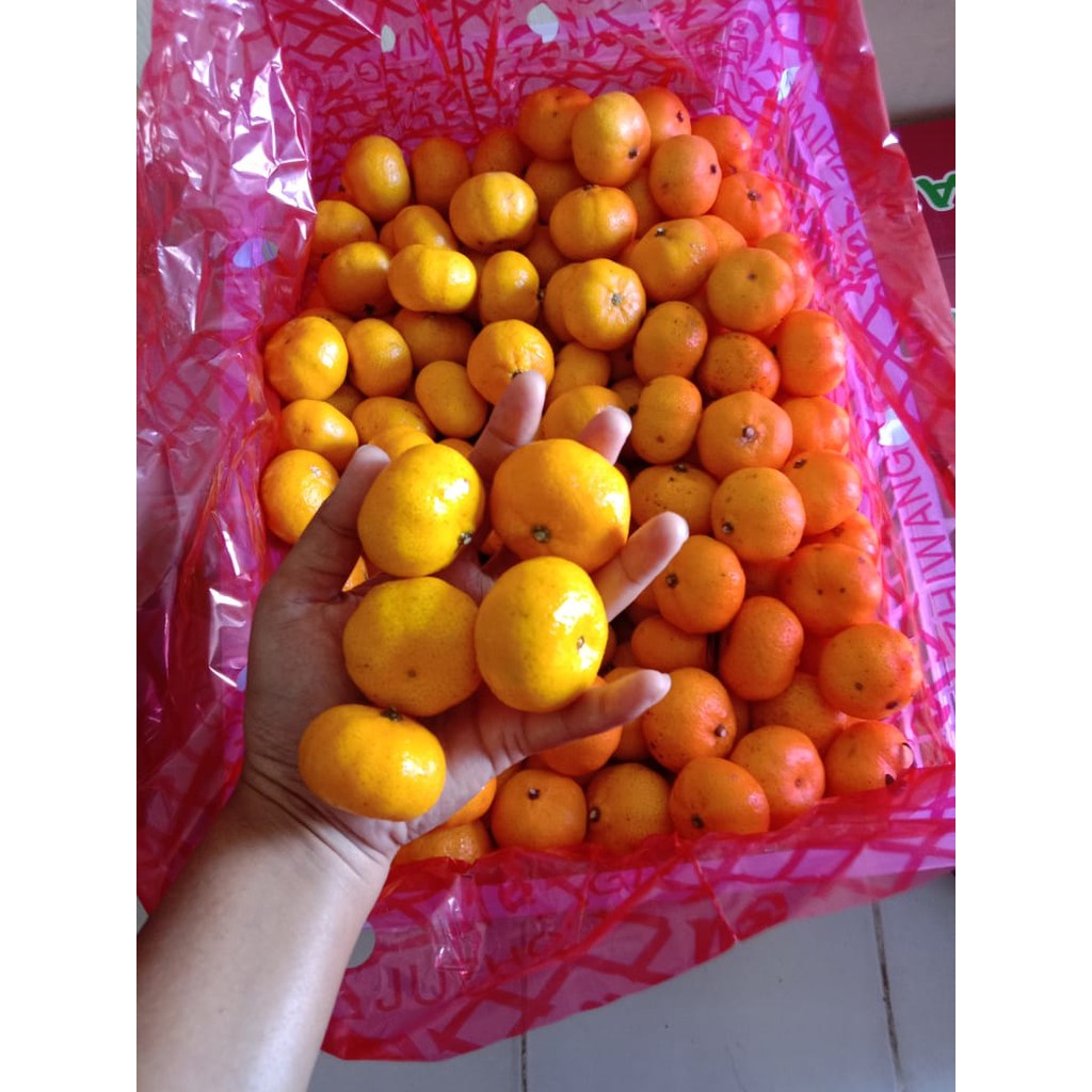 

Jeruk Shantang / Jeruk Santang 500 gram