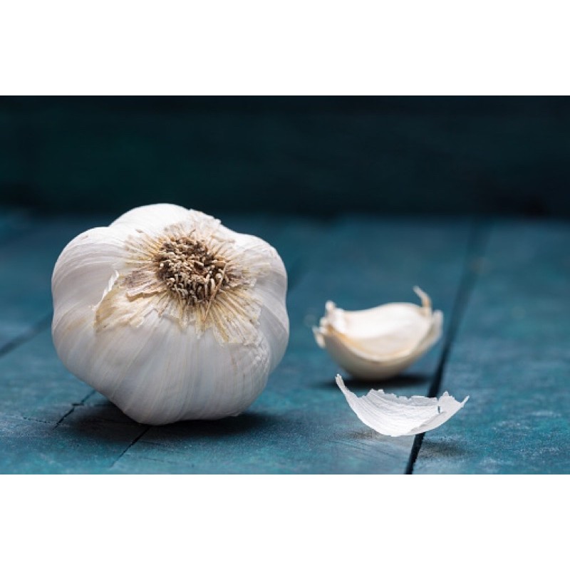 

Bawang Putih