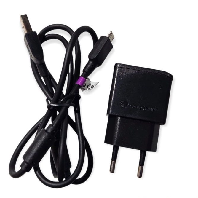 CHARGER SONY ORIGINAL MICRO