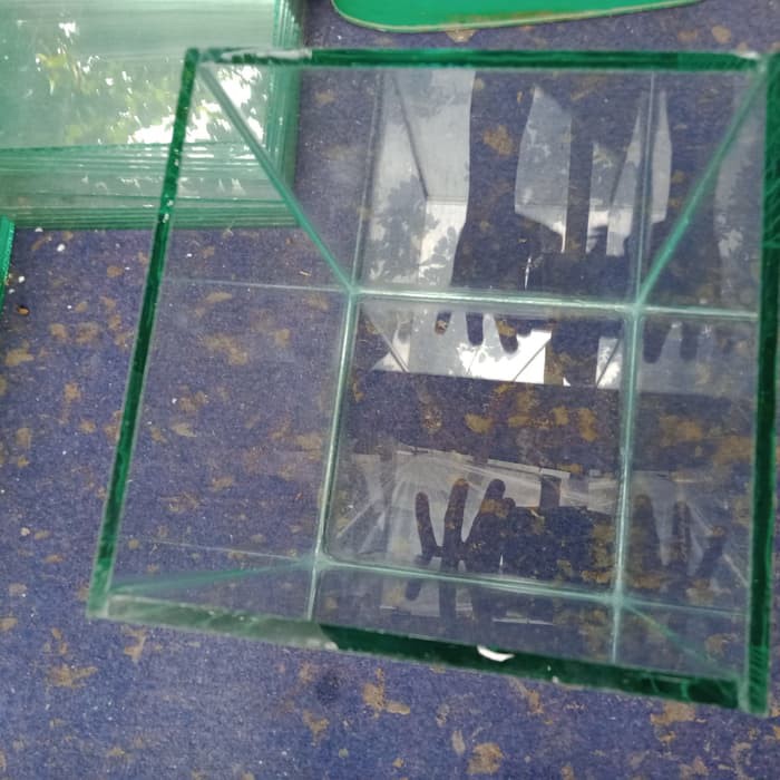 Soliter Jumbo, 15x15x20, soliter cupang, Aquarium gupy