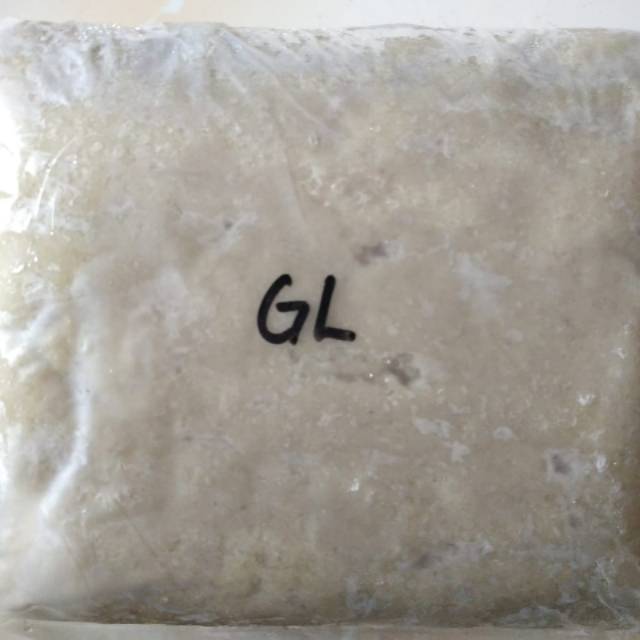 

GL (ikan parang2)
