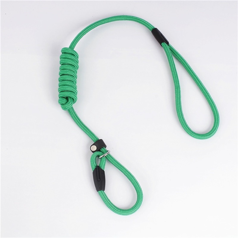 Pawpet walking training leash