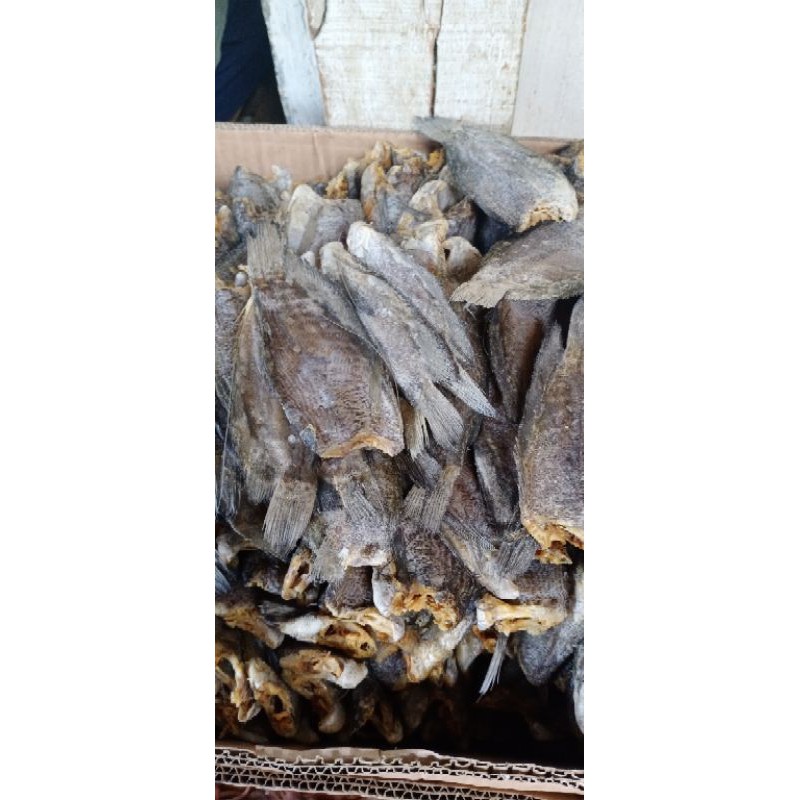 

Ikan asin sepat 500 gram.