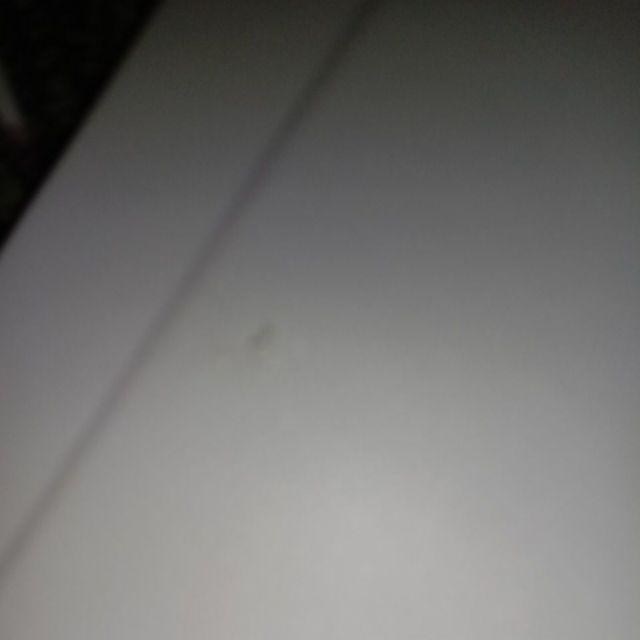 Craftpedia Hiasan Dinding Poster Tanaman 20x20 Cm - Grd