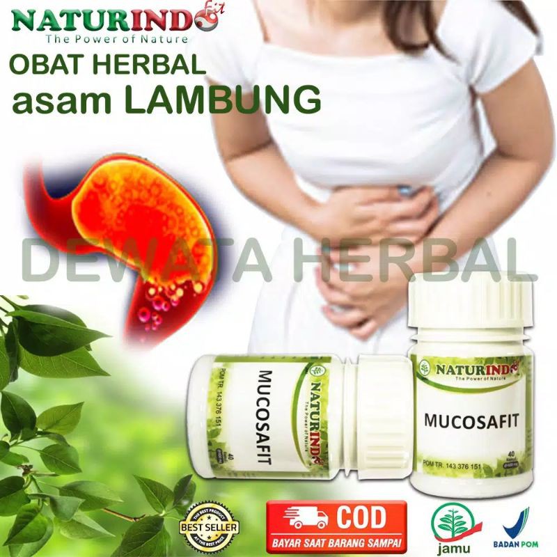 Jual Obat Herbal Sakit Asam Lambung Mag Maag Magh Gerd Kronis Perut