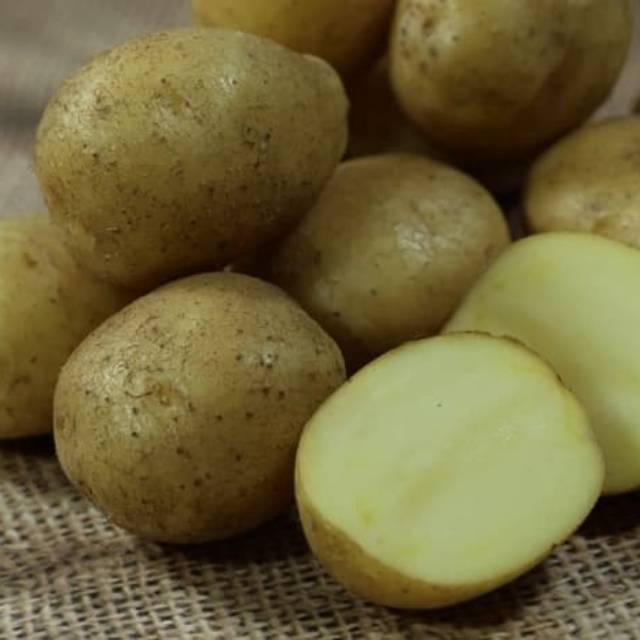 

Kentang Ukuran Sedang 500 Gram