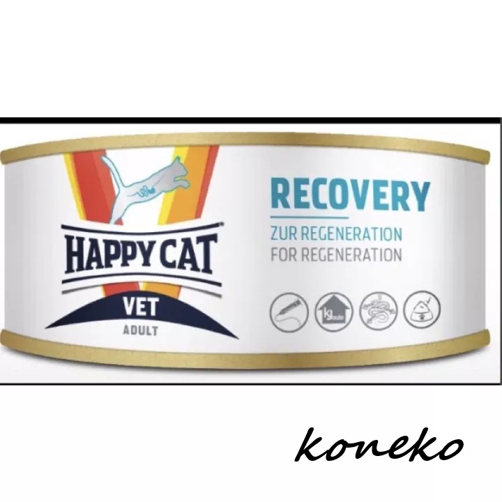 Happy Cat Recovery Untuk Penyembuhan Kucing kemasan 100g