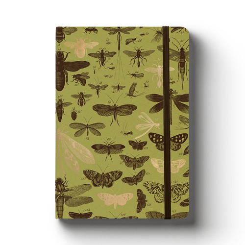 

Papermark - Notebook A5 lined Insect