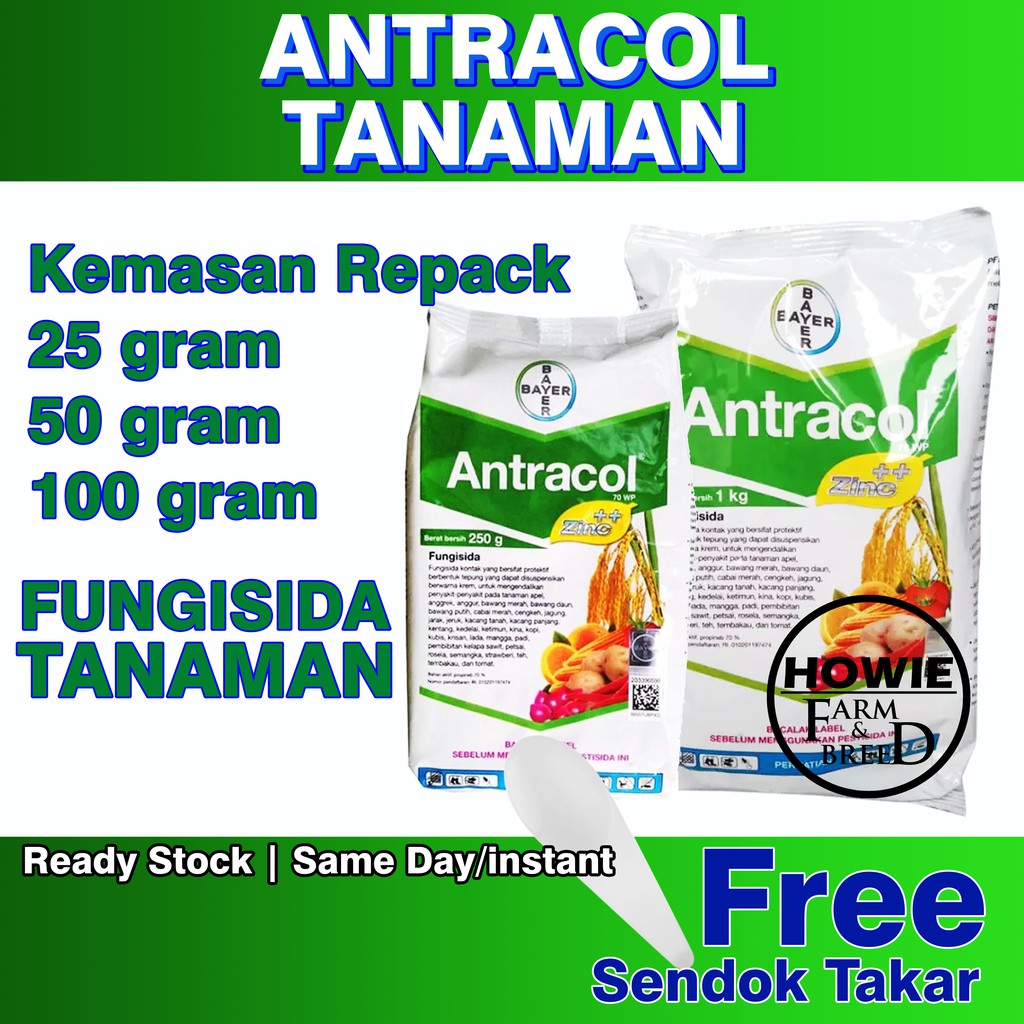 Fungisida Antracol 70wp Tanaman 25gram 50gram 100gram Shopee Indonesia