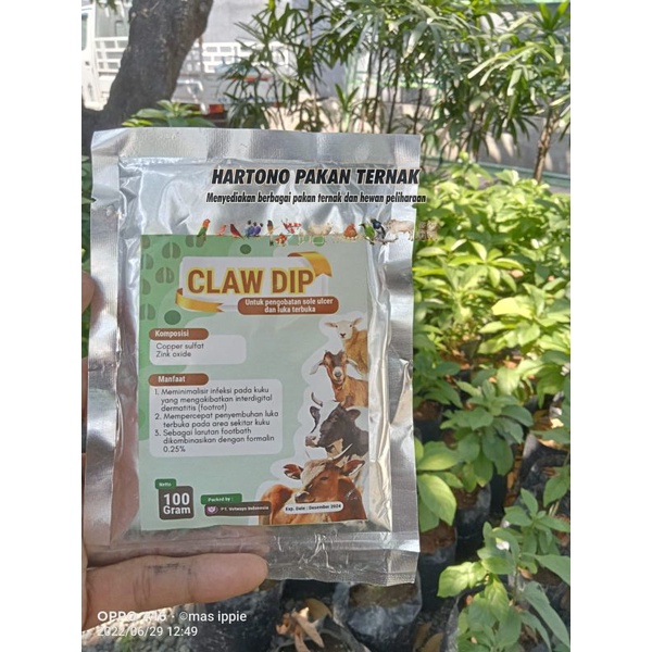 

Claw Dip Obat Luka Kuku Sapi / Obat luka kuku kambing - claw dip 100 gr OBAT KUKU LUKA AKIBAT PMK, BERNANAH, DLL