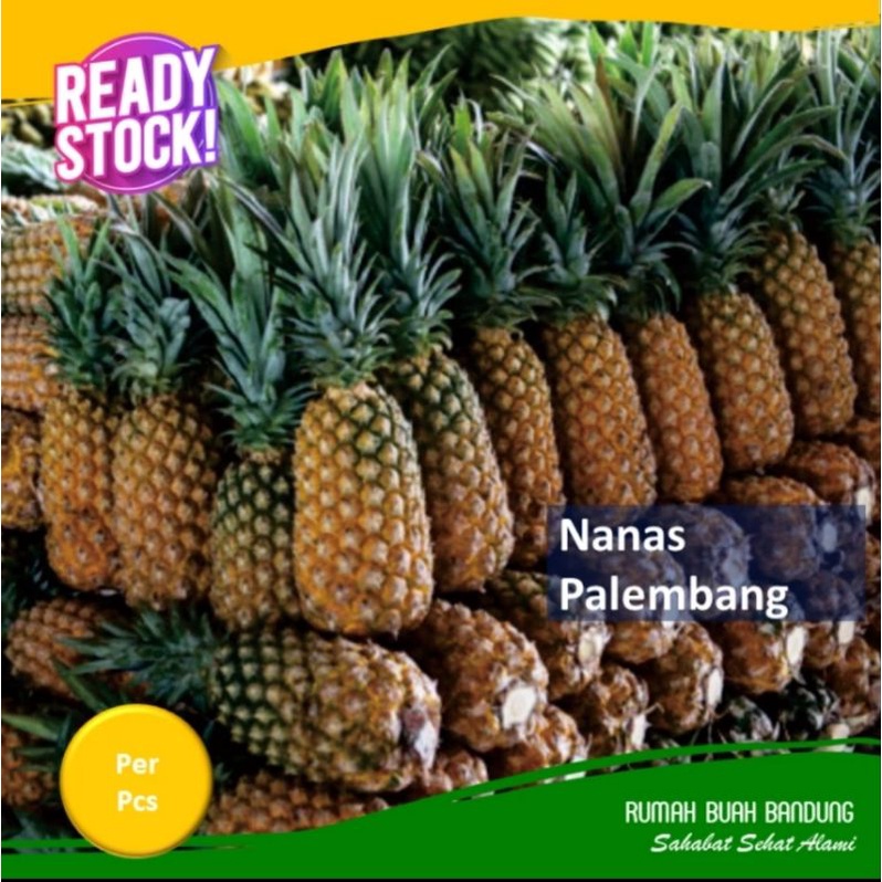 Nanas Kediri/Palembang Utuh &amp; Kupas Per Pcs