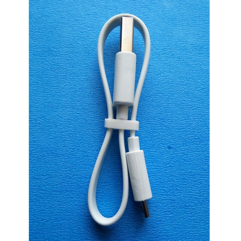 Kabel Data Xiaomi Powerbank 20cm Micro USB Original 100%