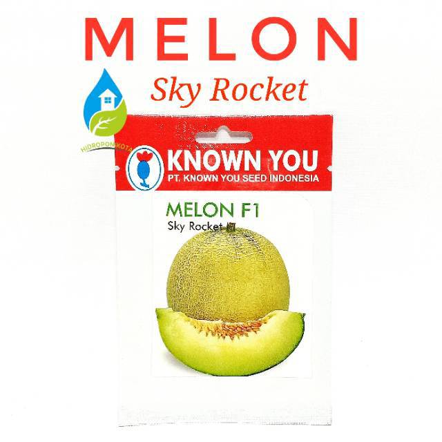 KYS - benih MELON SKY ROCKET isi 8 biji - benih melon madu - benih melon hybrida - known you seed