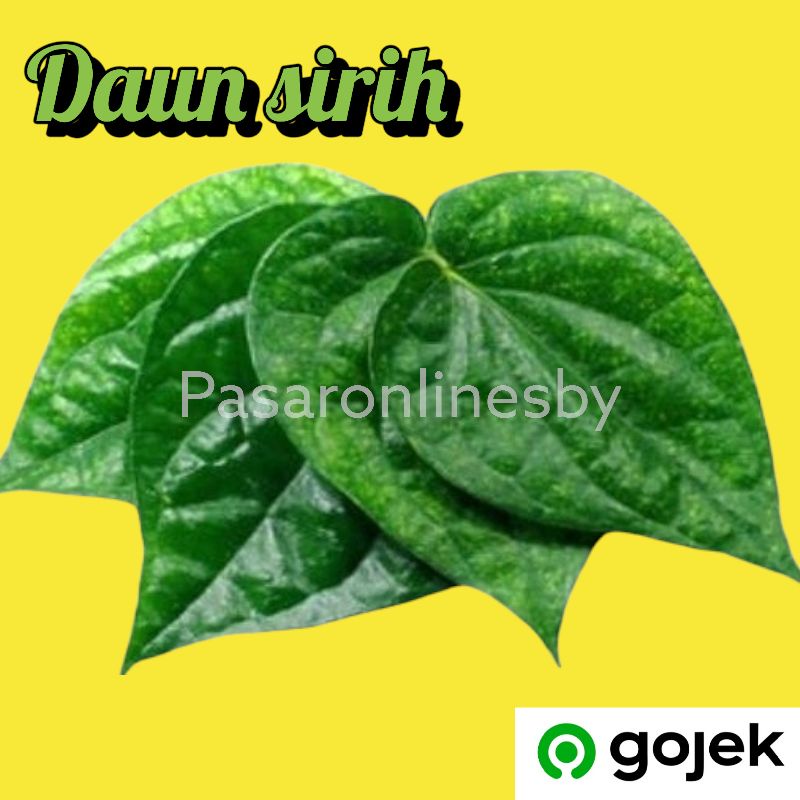 

PASAR GUBENG - Daun sirih/Daun Soroh Per ikat