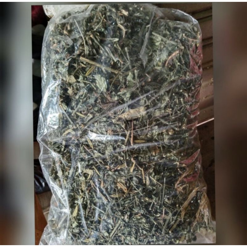 

daun sambiloto kering 500gr