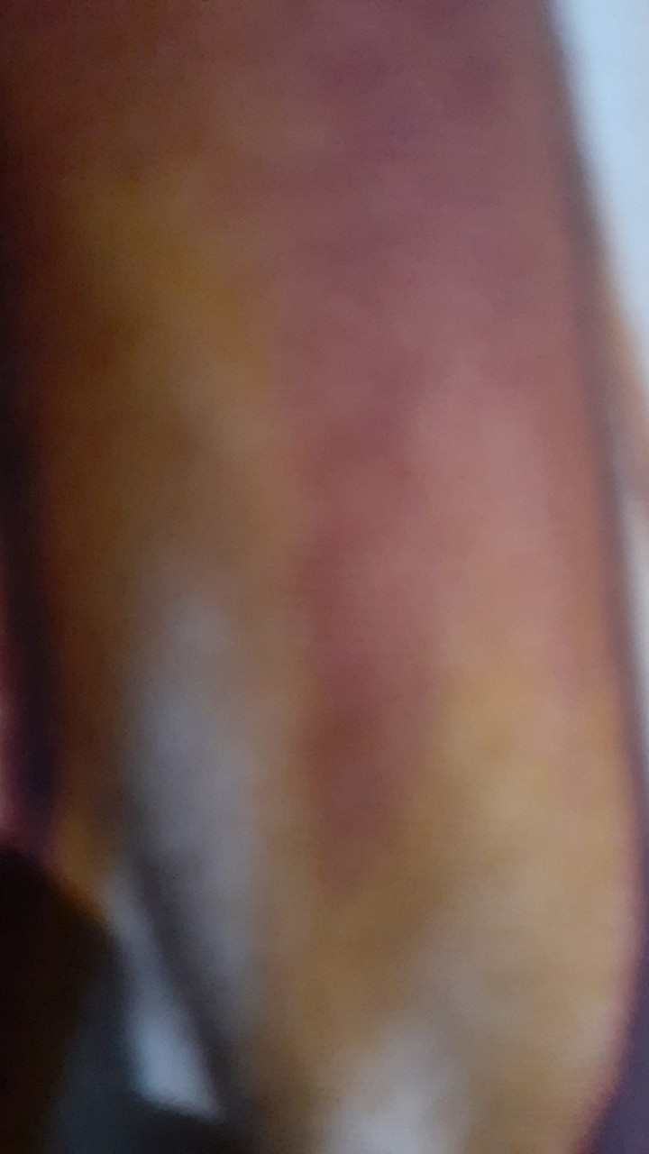 Promo!!!12 Pcs Gelas Mug Tutup  Plastik/gelas Mug+gagang/gelas Teh/gelas Es Kelapa