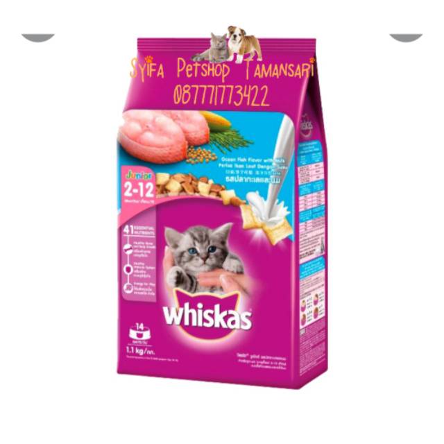 

Whiskas junior Ocean fish 2-12 bulan dry 1.1 kg