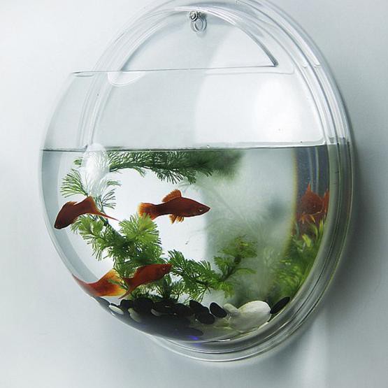 HITZ 2021 Aquarium Gantung Bulat Tempel Tembok Dinding Hanging soliter solitair MURAH
