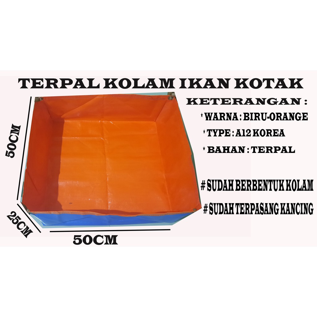 kolam terpal ikan cupang uk50x50x25 A12 korea original cocok buat ternak ikan cupang ikan lele bibit