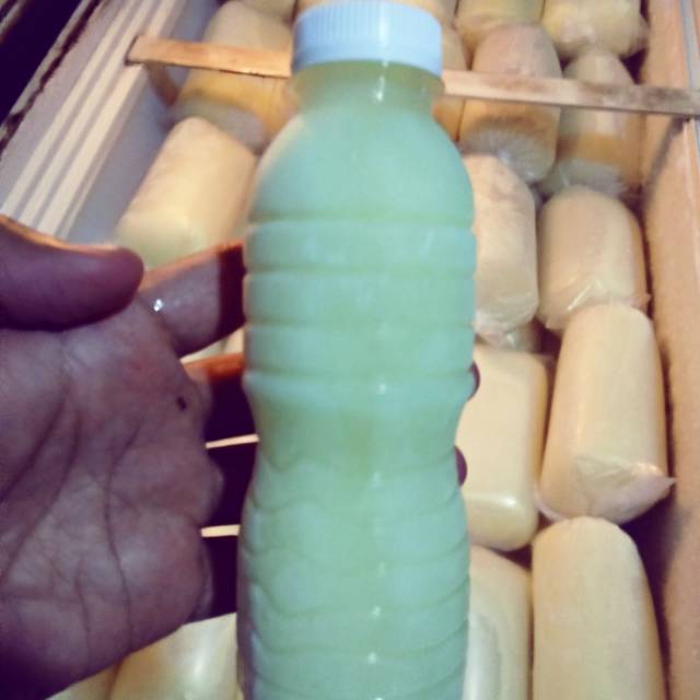 

Susu kambing cair murni